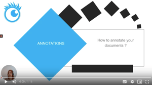 ROI video Annotation